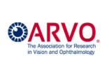 Association for Research in Vision and Ophthalmology - ARVO